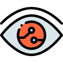 ojo icon