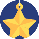 estrella icon