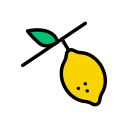 fruta icon