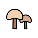 naturaleza icon