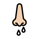 nariz 