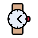 reloj icon