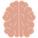 cerebro icon