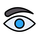 Eye 