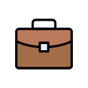 bolsa icon