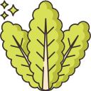 lechuga icon