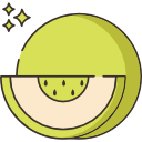 melón icon