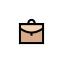 bolsa icon