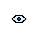 ojo icon