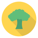 saludable icon