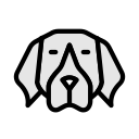 perro icon