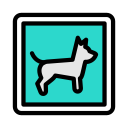 Знак icon