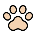 animal icon