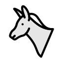 animal icon