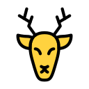 animal icon