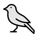 pájaro icon