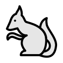 animal icon