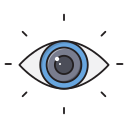 ojo icon