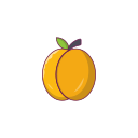 fruta icon