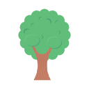 naturaleza icon