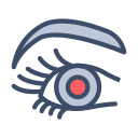 ojo icon