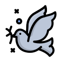 paz icon