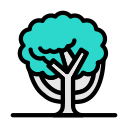 naturaleza icon