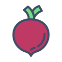 fruta icon