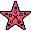 estrella de mar