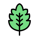 naturaleza icon