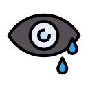 ojo icon