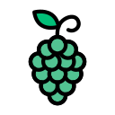 fruta icon