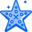 estrella de mar