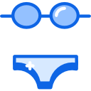 bikini icon