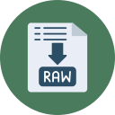 archivo raw icon