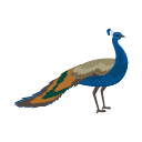 pájaro icon