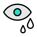 ojo icon