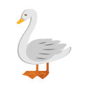 animal icon