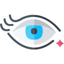 ojo icon