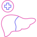 Liver 