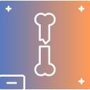 radiografía de huesos icon