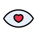 ojo icon