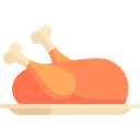 pollo icon