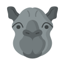 animal icon