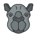 animal icon