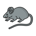 ratón icon