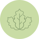 repollo icon