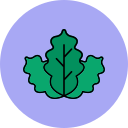 repollo icon