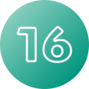 número 16 icon