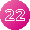 número 22 icon